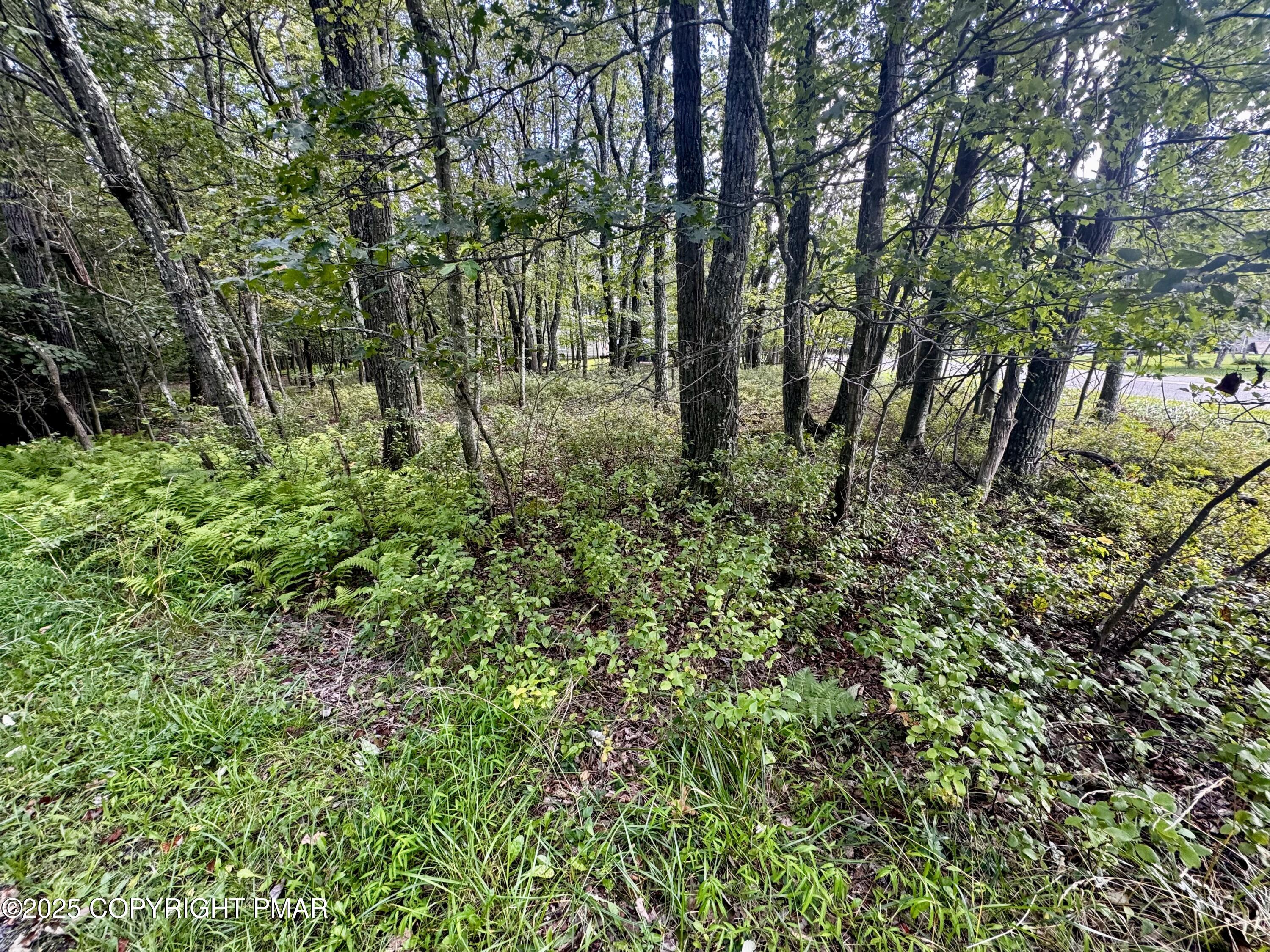 Bear Lane & Behrens Road