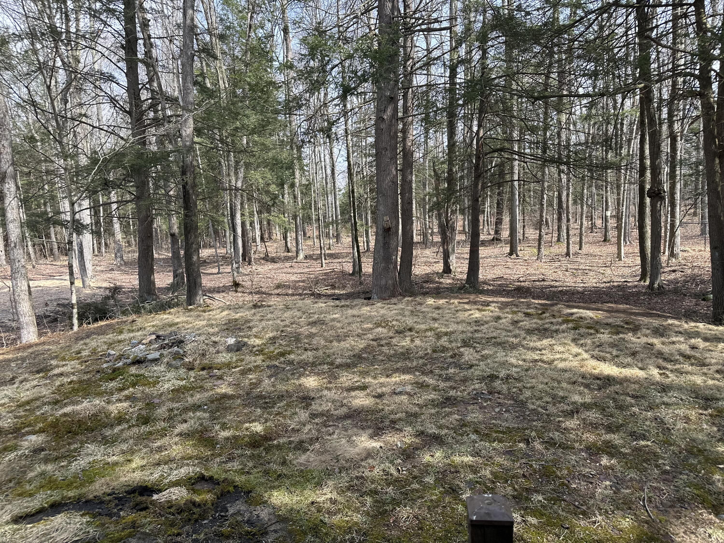 192 George Drive, Pocono Lake, Pennsylvania image 2