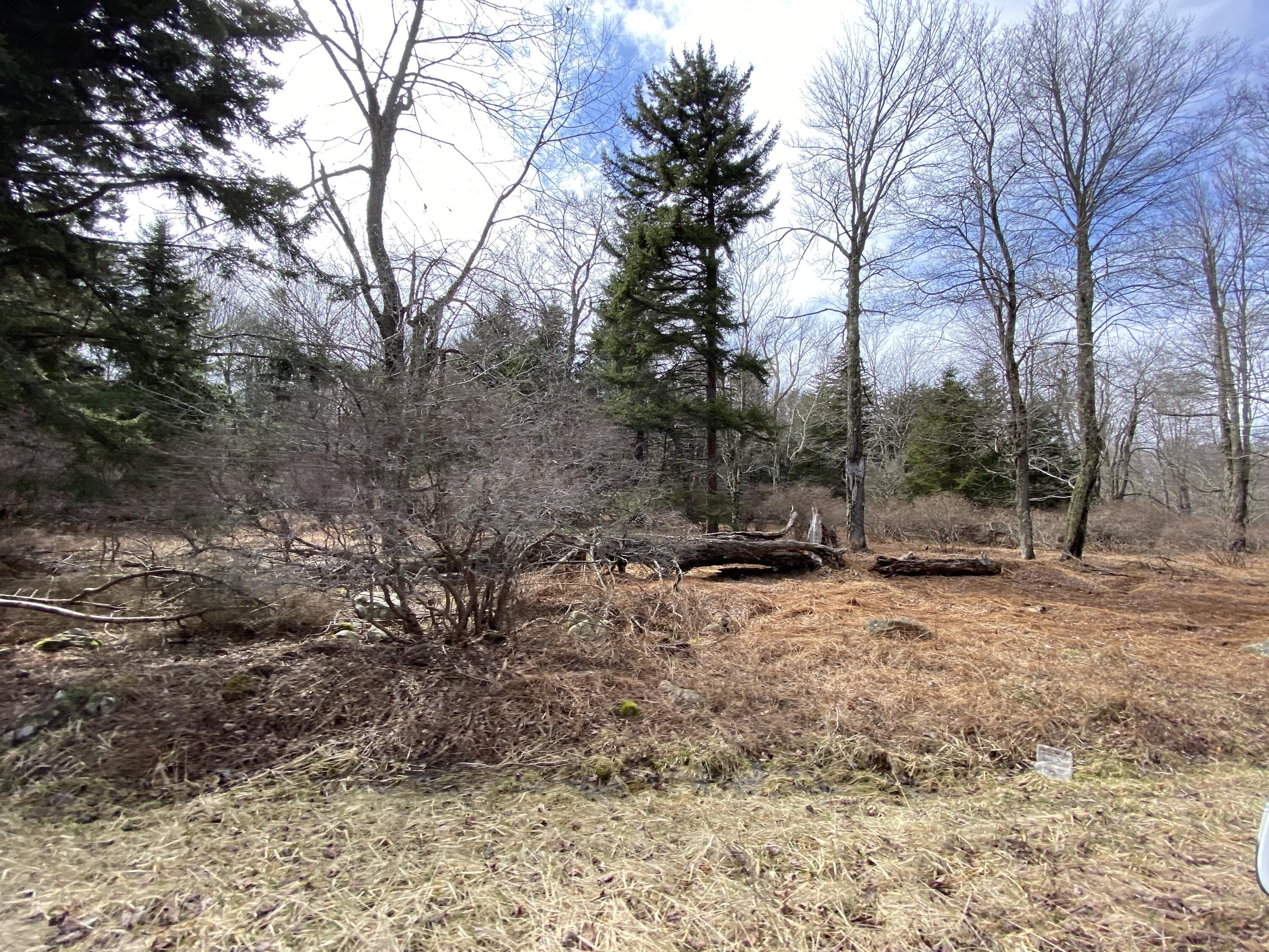 905 Wadi Road, Pocono Lake, Pennsylvania image 9