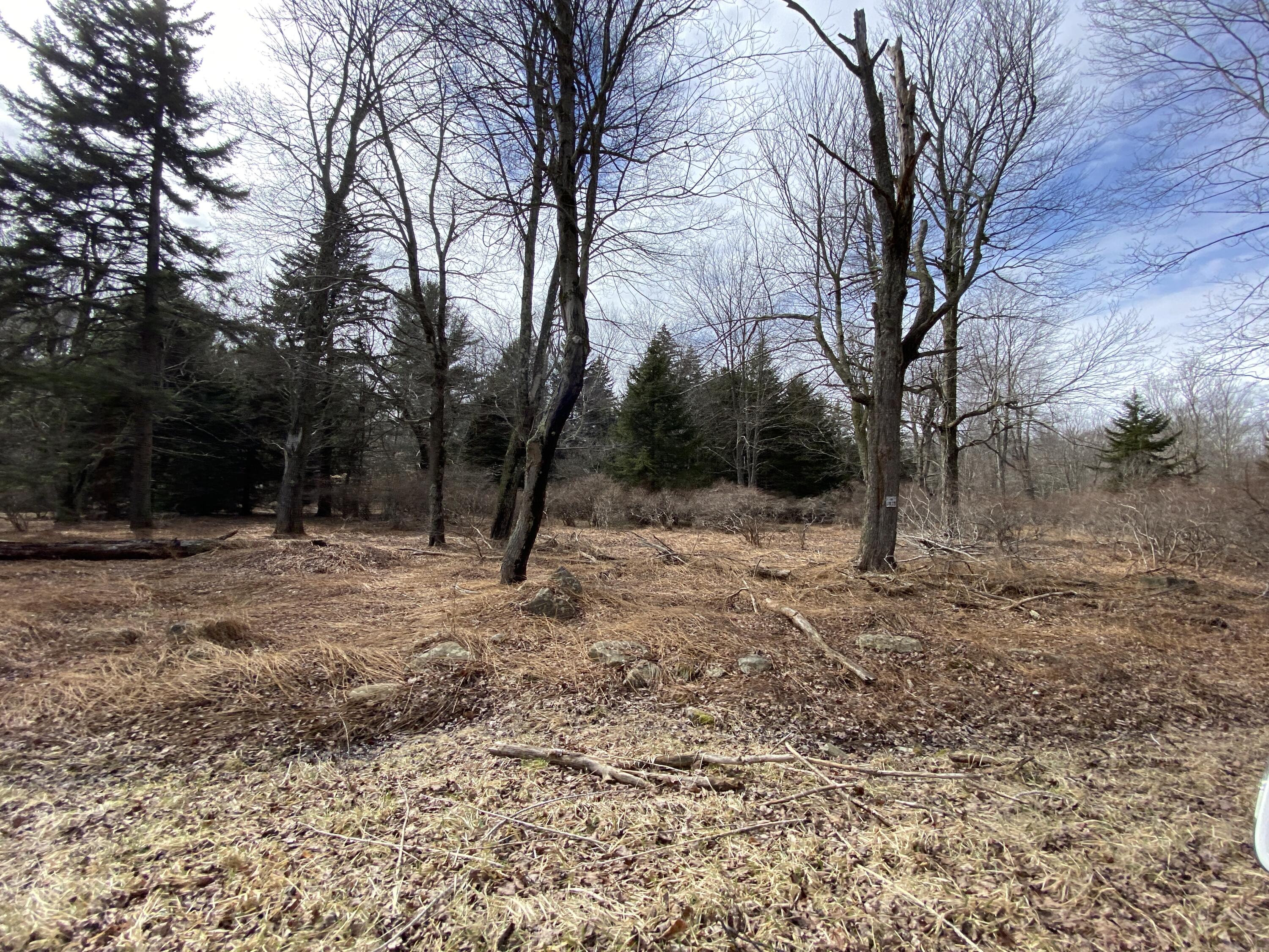 905 Wadi Road, Pocono Lake, Pennsylvania image 1