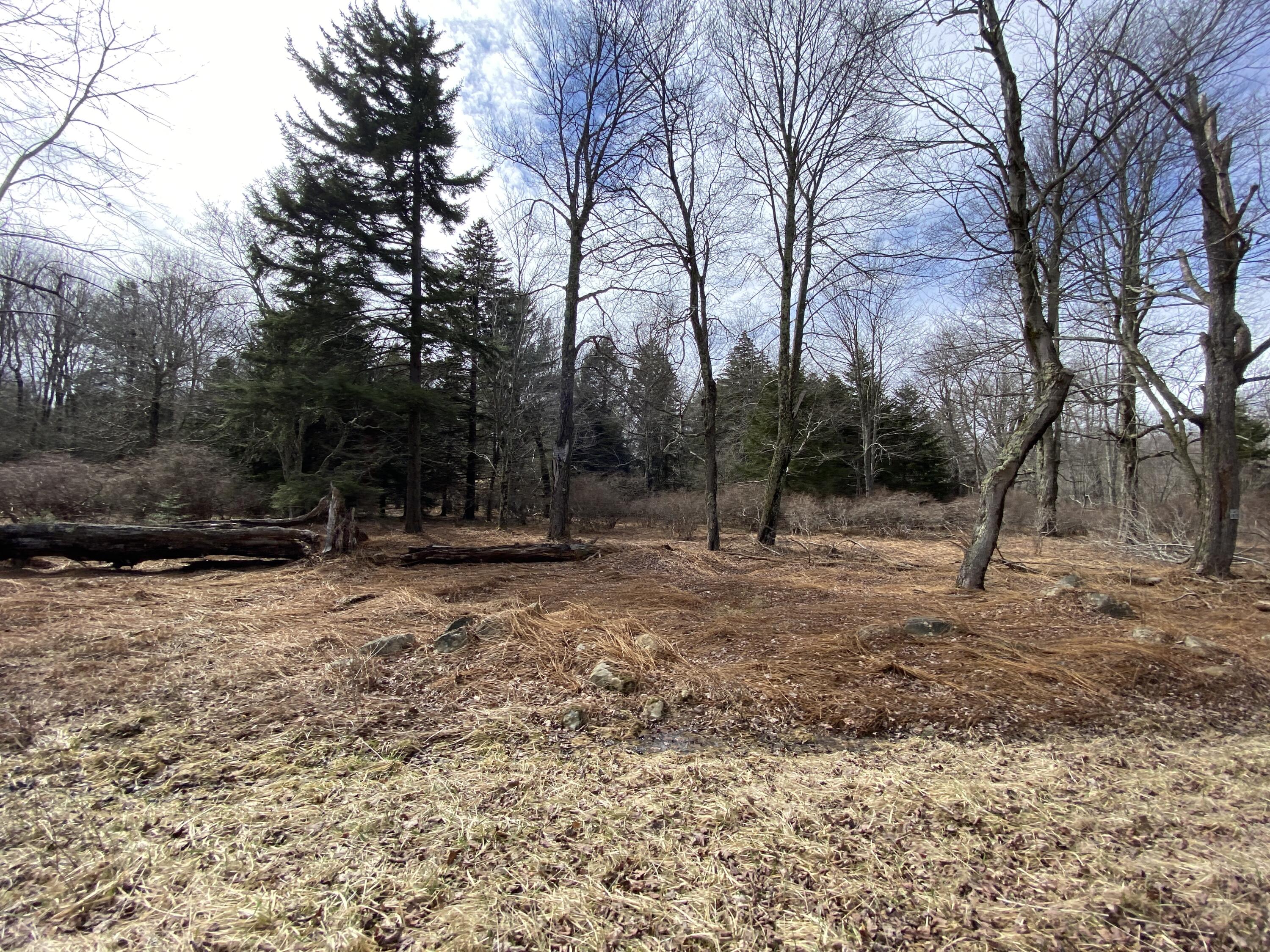 905 Wadi Road, Pocono Lake, Pennsylvania image 8