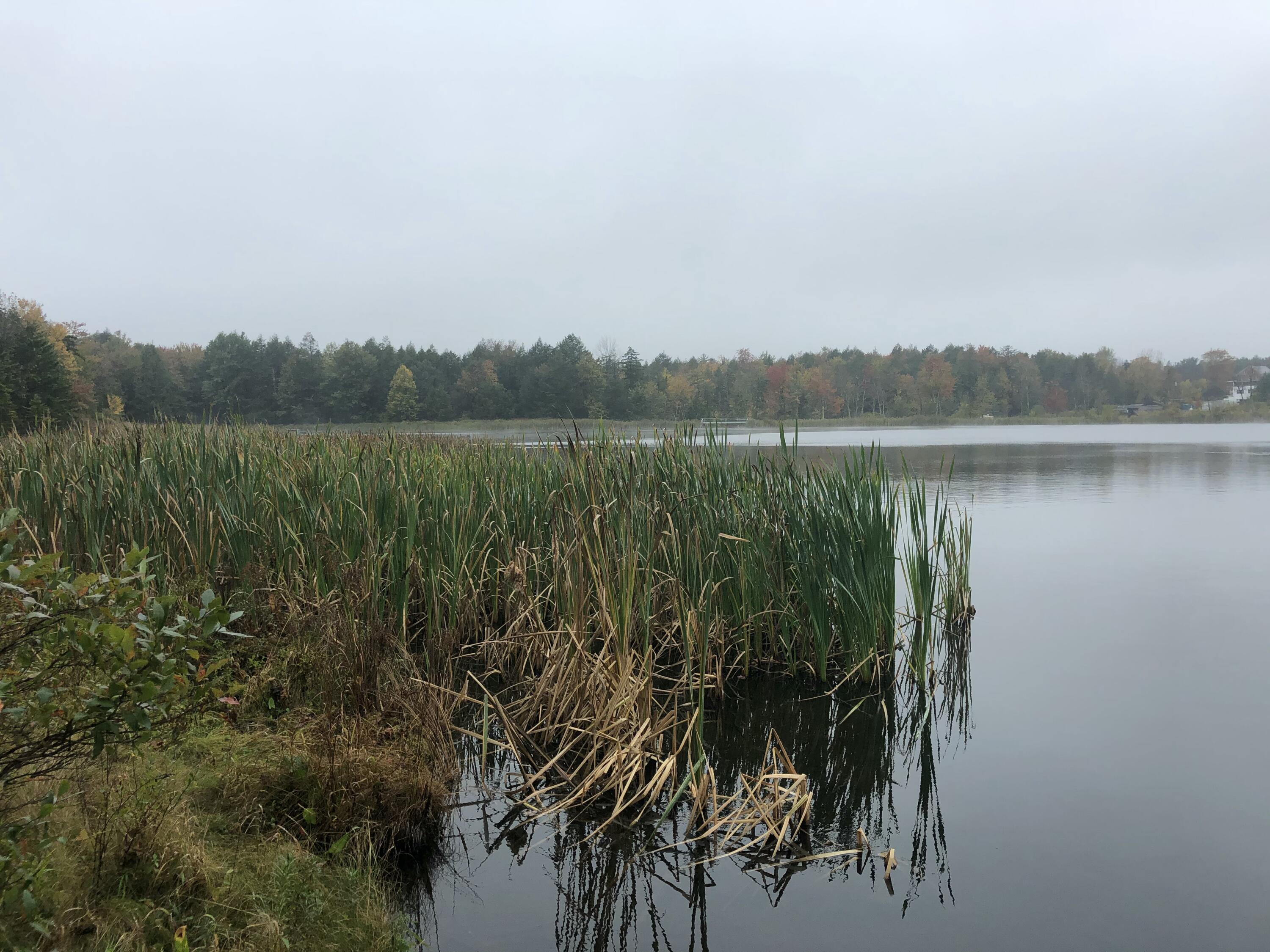 905 Wadi Road, Pocono Lake, Pennsylvania image 15