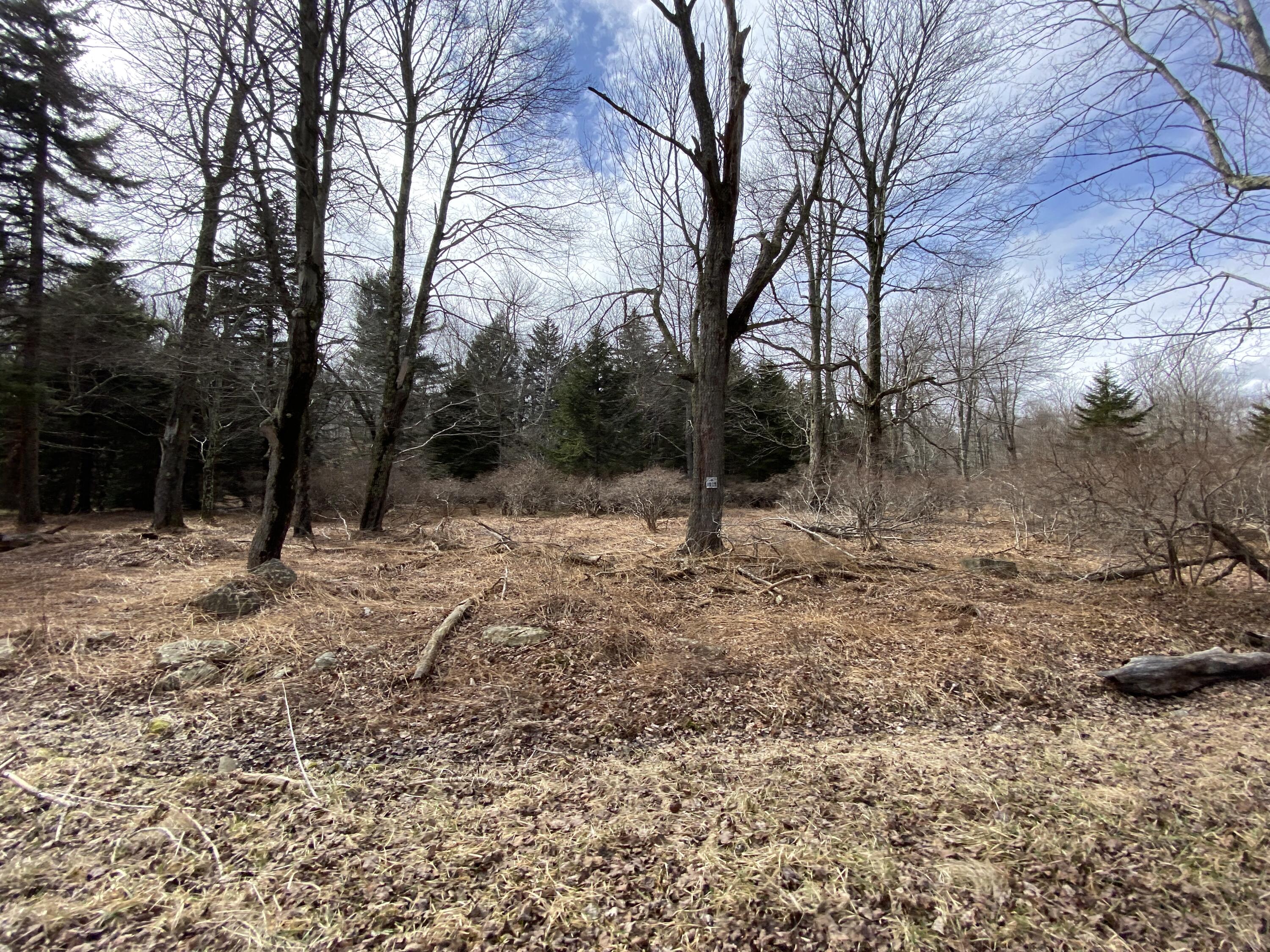 905 Wadi Road, Pocono Lake, Pennsylvania image 10