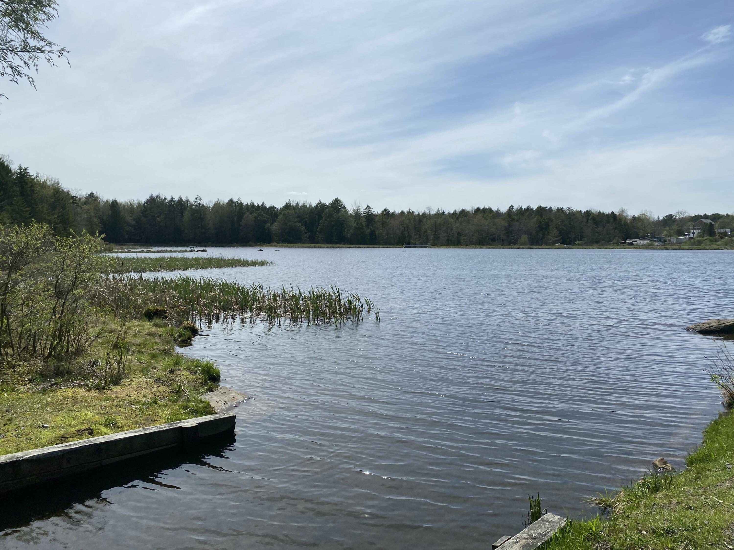 905 Wadi Road, Pocono Lake, Pennsylvania image 7