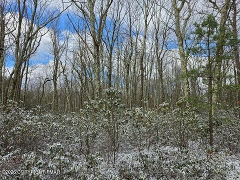 Vacant Land For Sale - LOT E487 Choctaw Road & Saginaw Drive<br/> Carbon County, Jim Thorpe, PA 18229