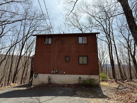 5231 Woodbridge Drive E Bushkill PA 18324