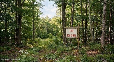 Vacant Land For Sale - Rt 715 34<br/> Henryville, PA 18332