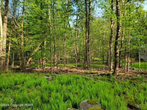 #1882 N Fawn Court Clifton Township PA 18424