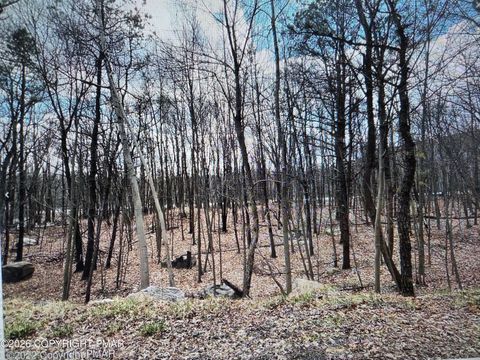 Vacant Land For Sale - 60 Mckinley Drive<br/> Monroe County, Effort, PA 18330