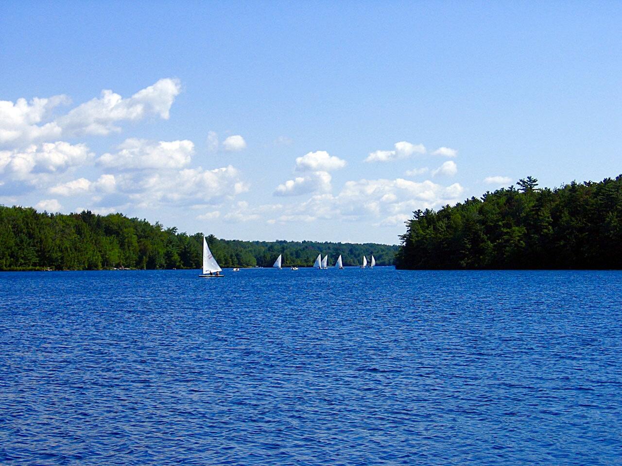 Lot 7/8 Sweet Briar Road, Pocono Pines, Pennsylvania image 16