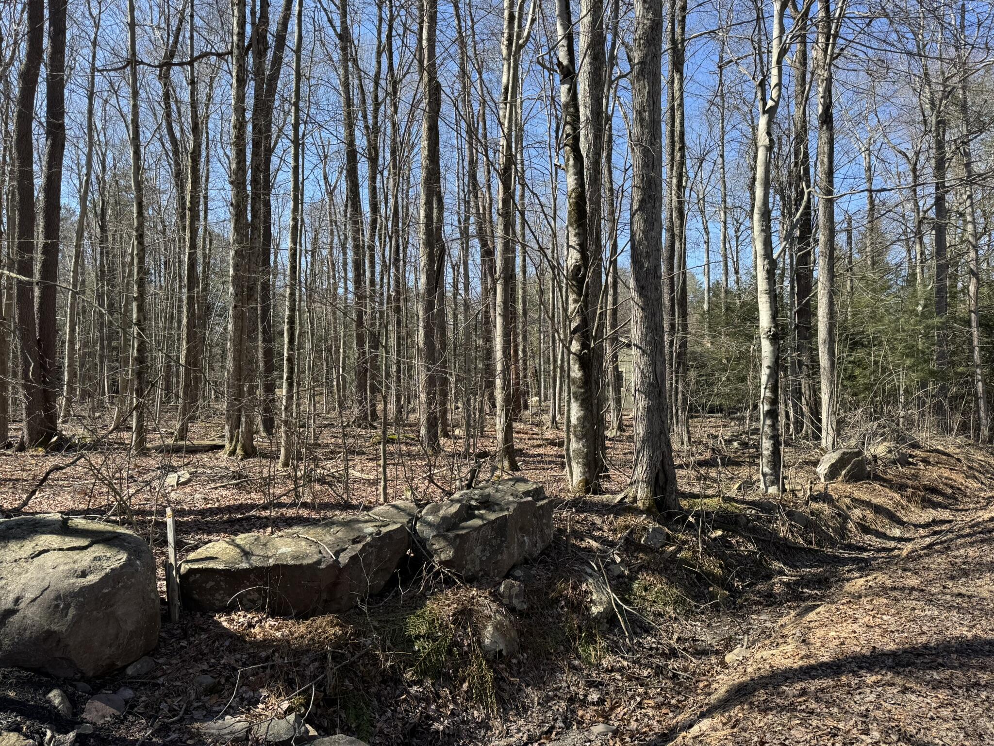 Lot 7/8 Sweet Briar Road, Pocono Pines, Pennsylvania image 2