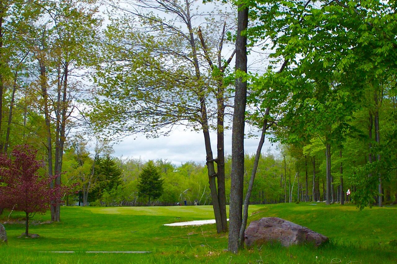 Lot 7/8 Sweet Briar Road, Pocono Pines, Pennsylvania image 26
