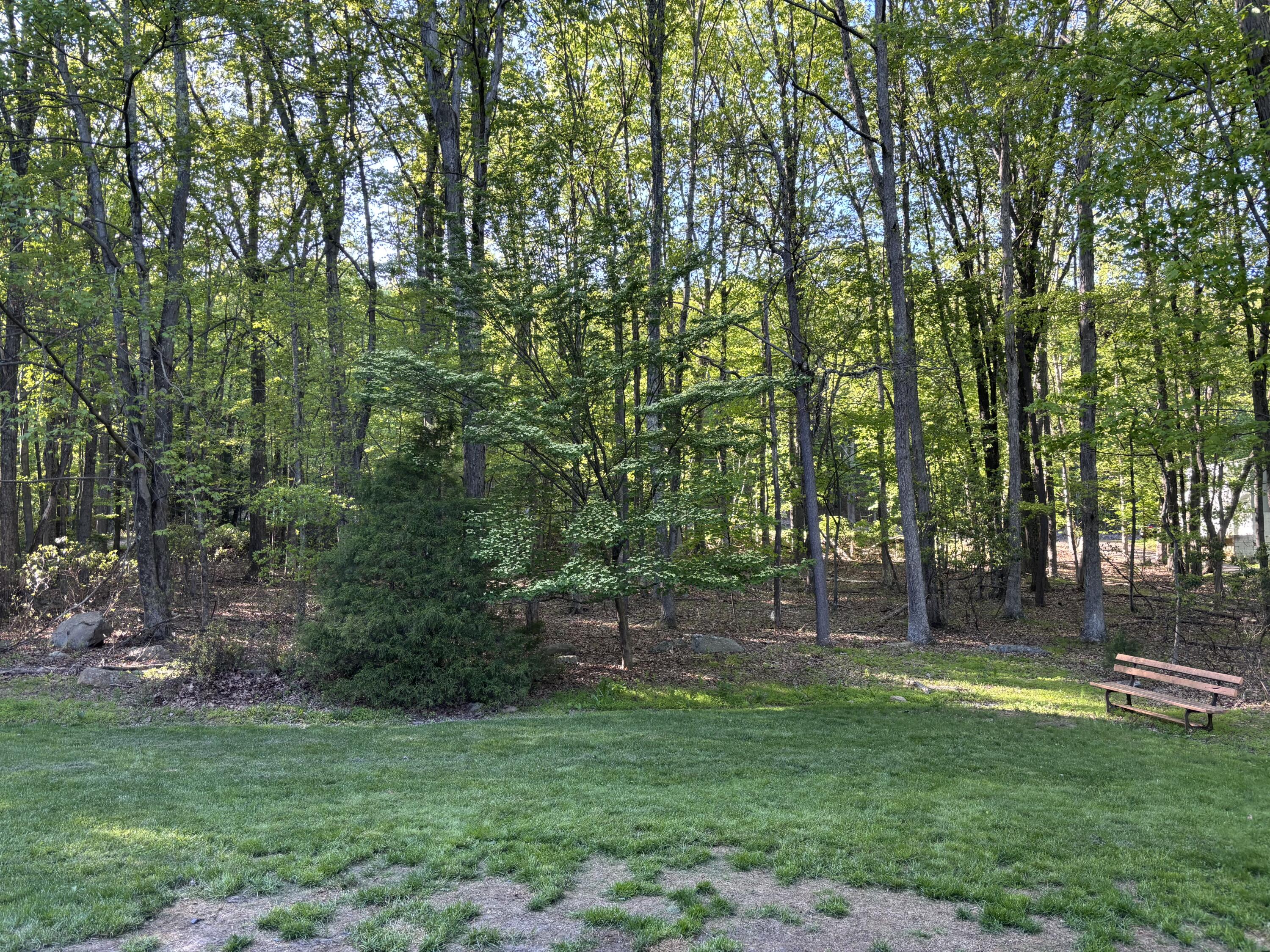 462 Plane Street, Weatherly, Pennsylvania image 12