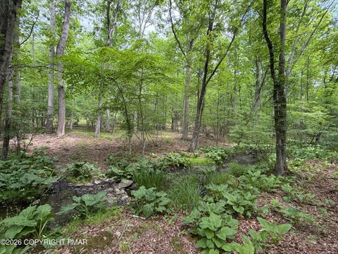 Vacant Land For Sale - 199 Upper Lakeview Dr Drive<br/> East Stroudsburg, PA 18302