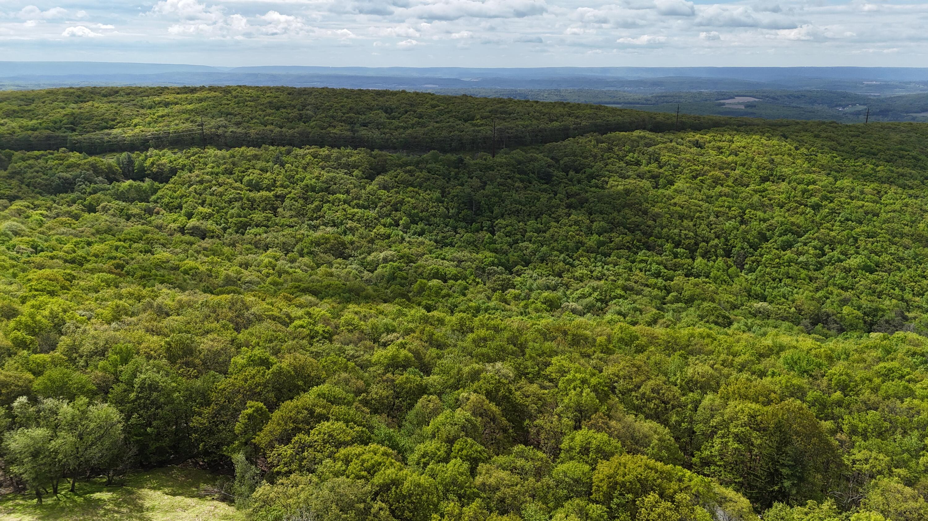 Arciel Dr, Albrightsville, Pennsylvania image 11