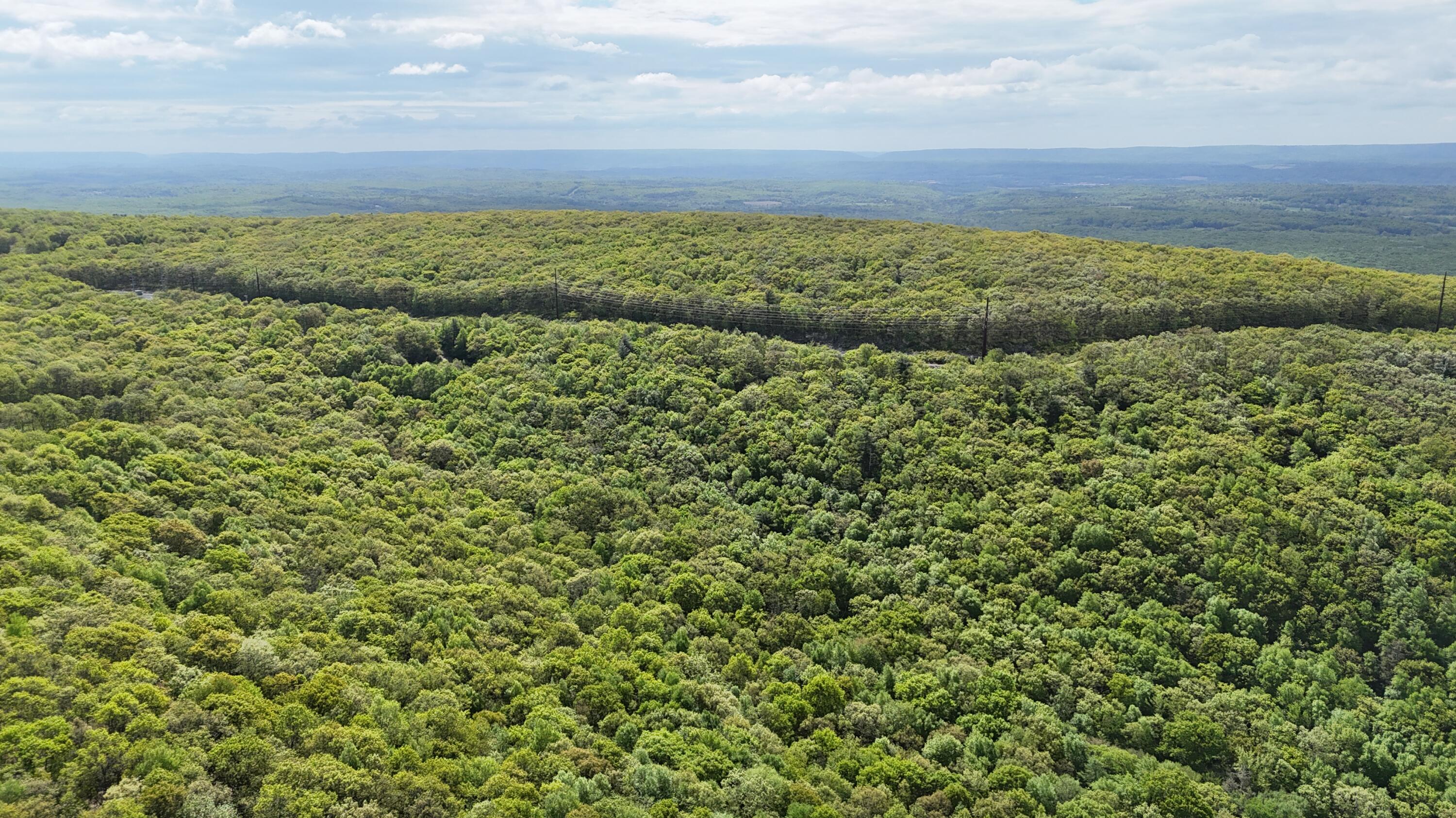 Arciel Dr, Albrightsville, Pennsylvania image 16