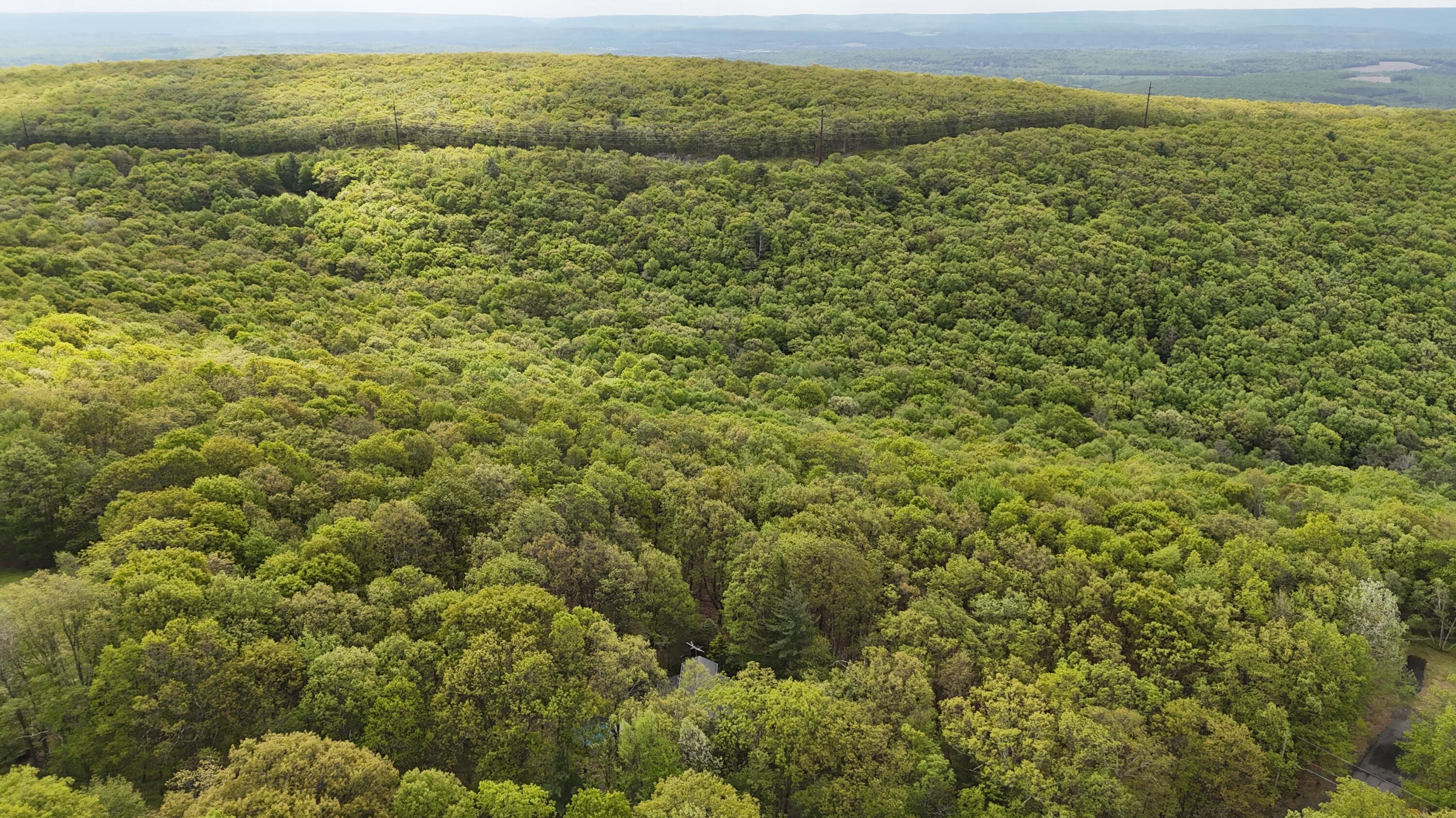 Arciel Dr, Albrightsville, Pennsylvania image 1