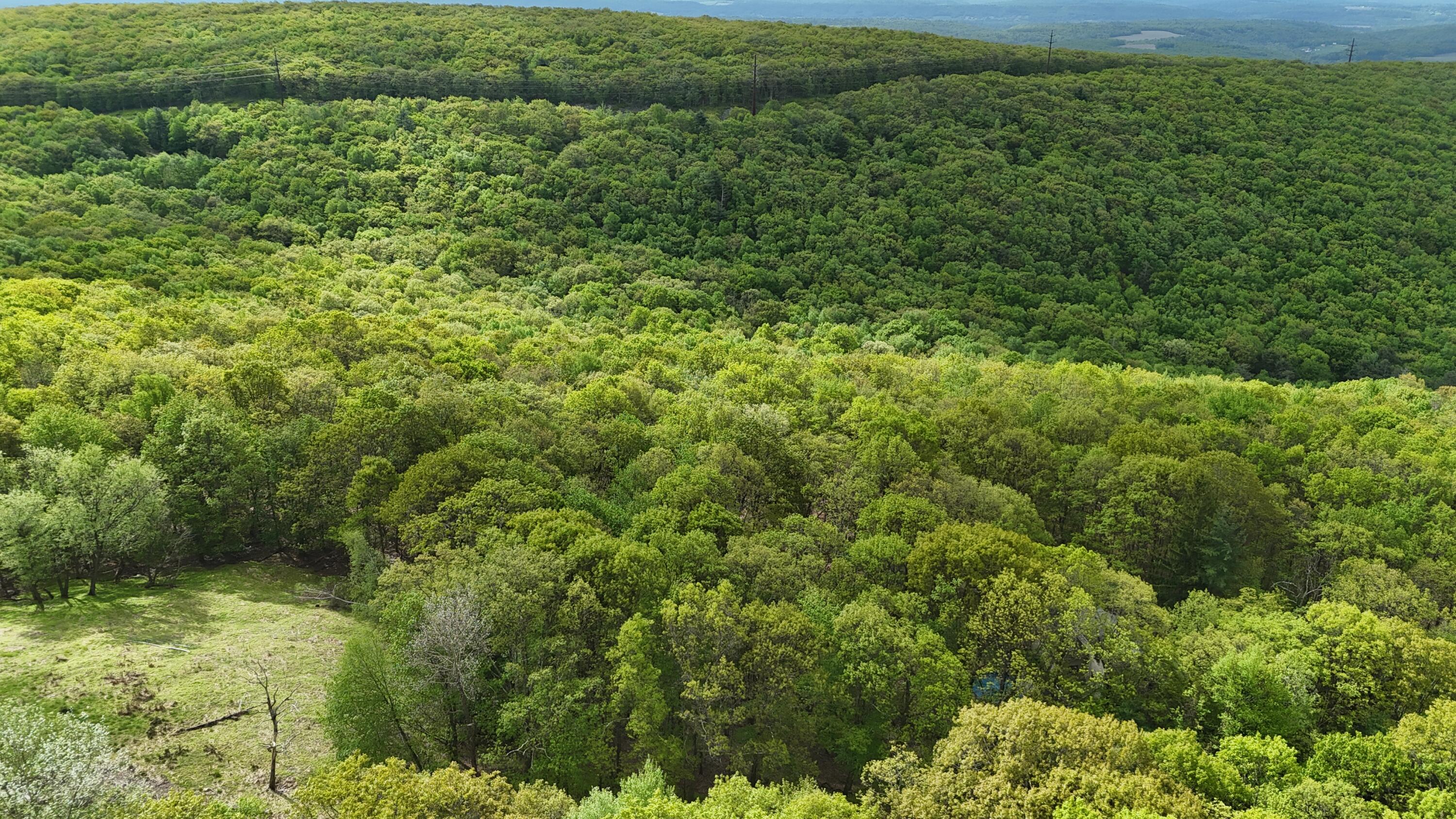 Arciel Dr, Albrightsville, Pennsylvania image 5