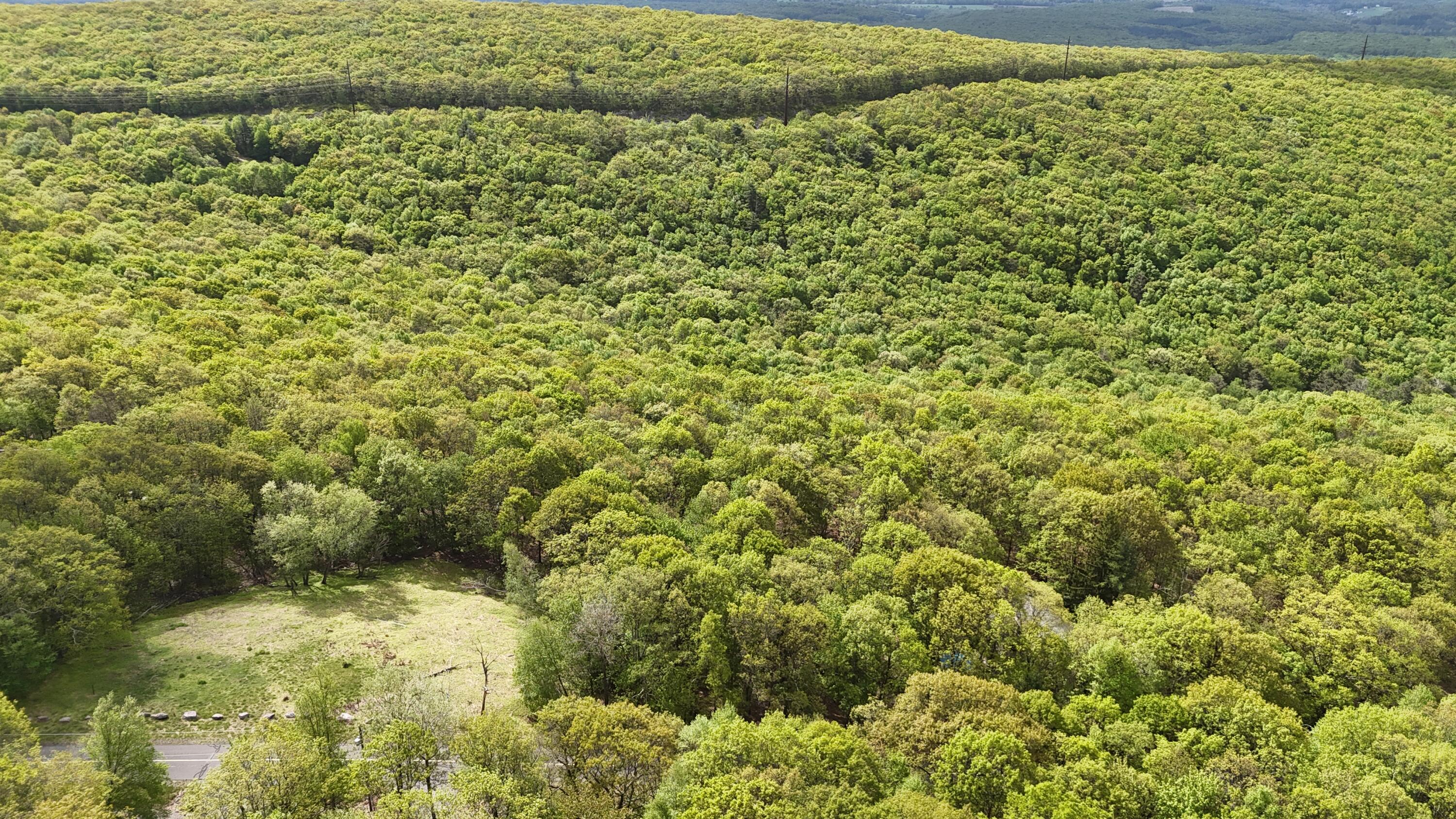 Arciel Dr, Albrightsville, Pennsylvania image 6