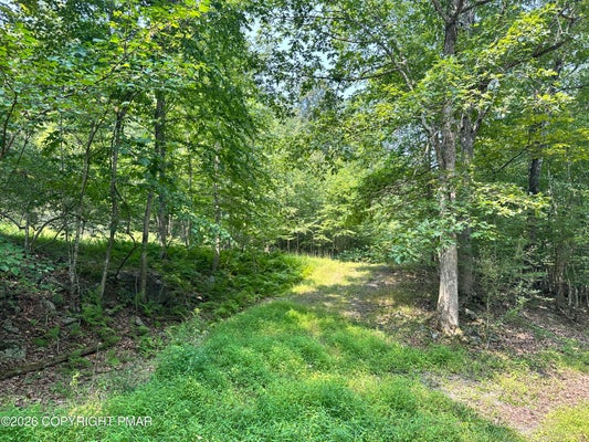 PRIVATE DR 2C, HENRYVILLE, PA 18332 - Image 77f794efb07ee6542d0fe87a0dffad3e/667423780