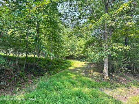 Vacant Land For Sale - Private Dr 2c Drive<br/> Monroe County, Henryville, PA 18332