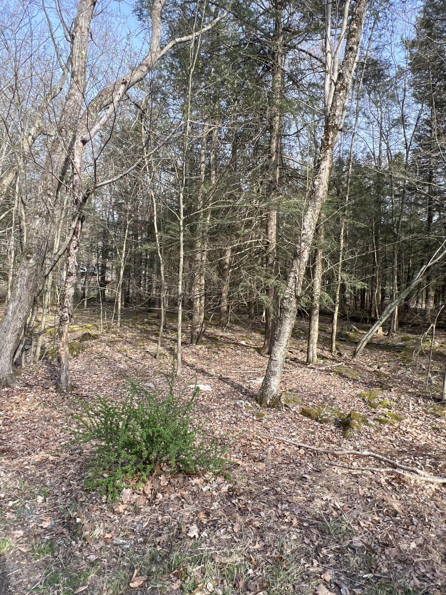 Lot 814 White Pine Drive, Pocono Lake, Pennsylvania image 2