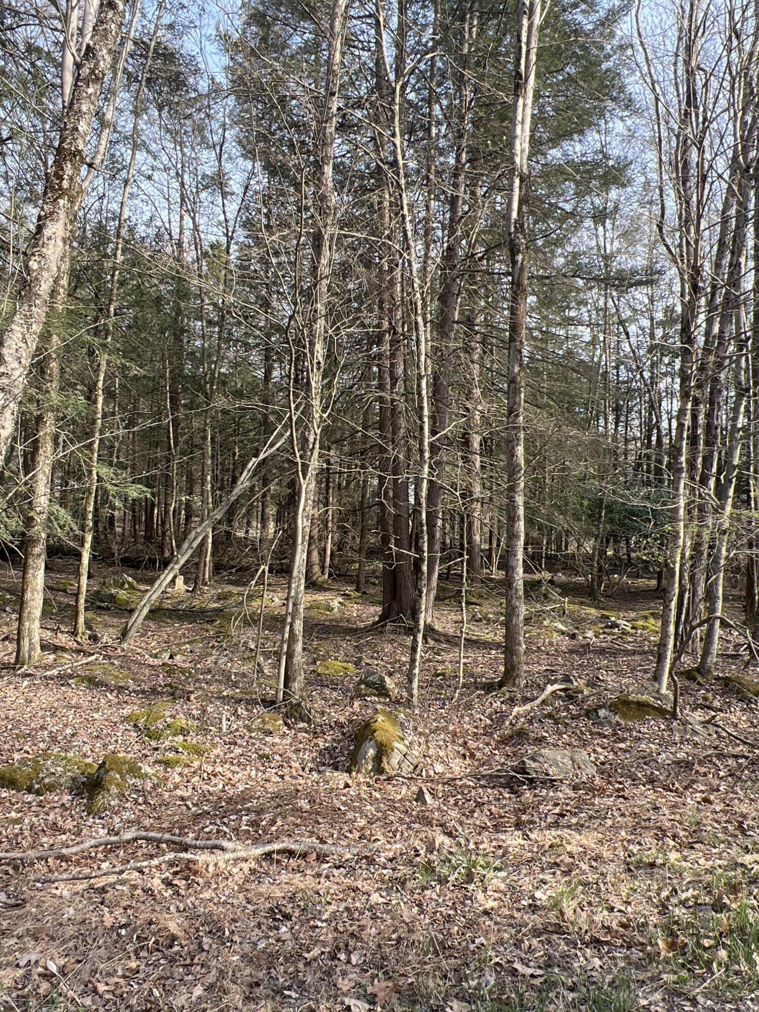 Lot 814 White Pine Drive, Pocono Lake, Pennsylvania image 3