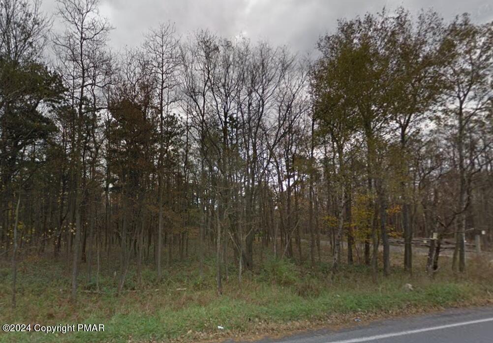 45086 Lr, Blakeslee, Pennsylvania image 10