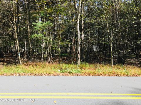 Vacant Land For Sale - 137 King Arthur Rd Road<br/> Pocono Lake, PA 18347