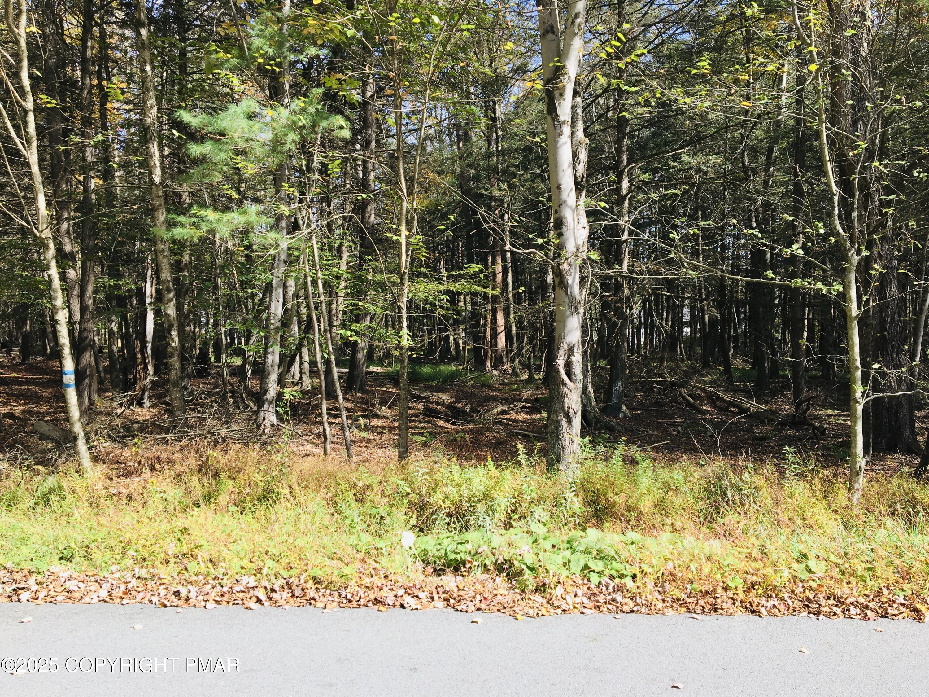 137 King Arthur Rd Road