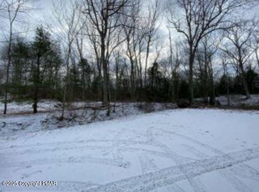 Lot 534 Weasel Road, Dingmans Ferry, Pennsylvania image 2