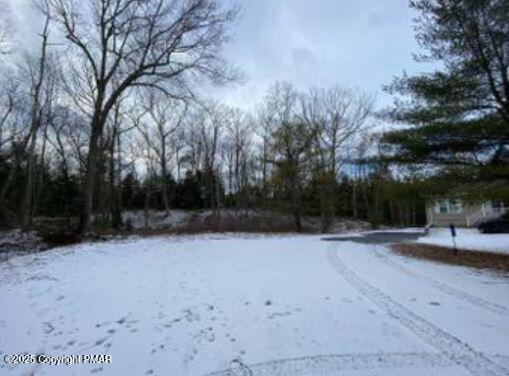 Lot 534 Weasel Road, Dingmans Ferry, Pennsylvania image 3