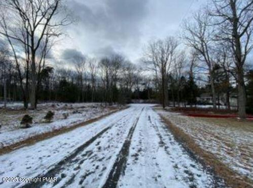 Lot 534 Weasel Road, Dingmans Ferry, Pennsylvania image 4