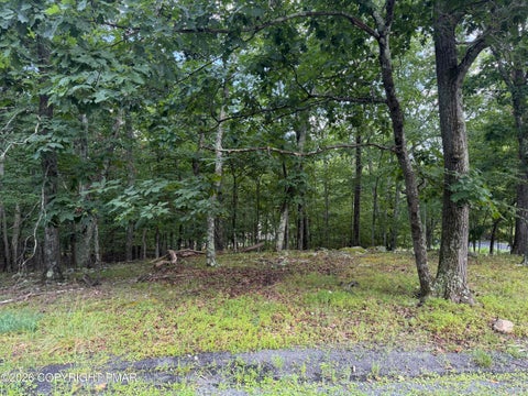 Vacant Land For Sale - LOT 185 Gold Finch Road<br/> Bushkill, PA 18324