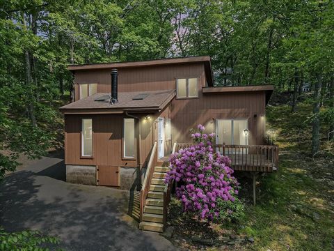 5015 Woodbridge Drive E Bushkill PA 18324