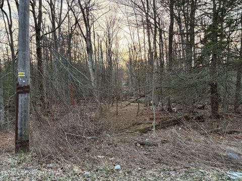 Vacant Land For Sale - 905 Jester Ct 905 Court<br/> Tobyhanna, PA 18466