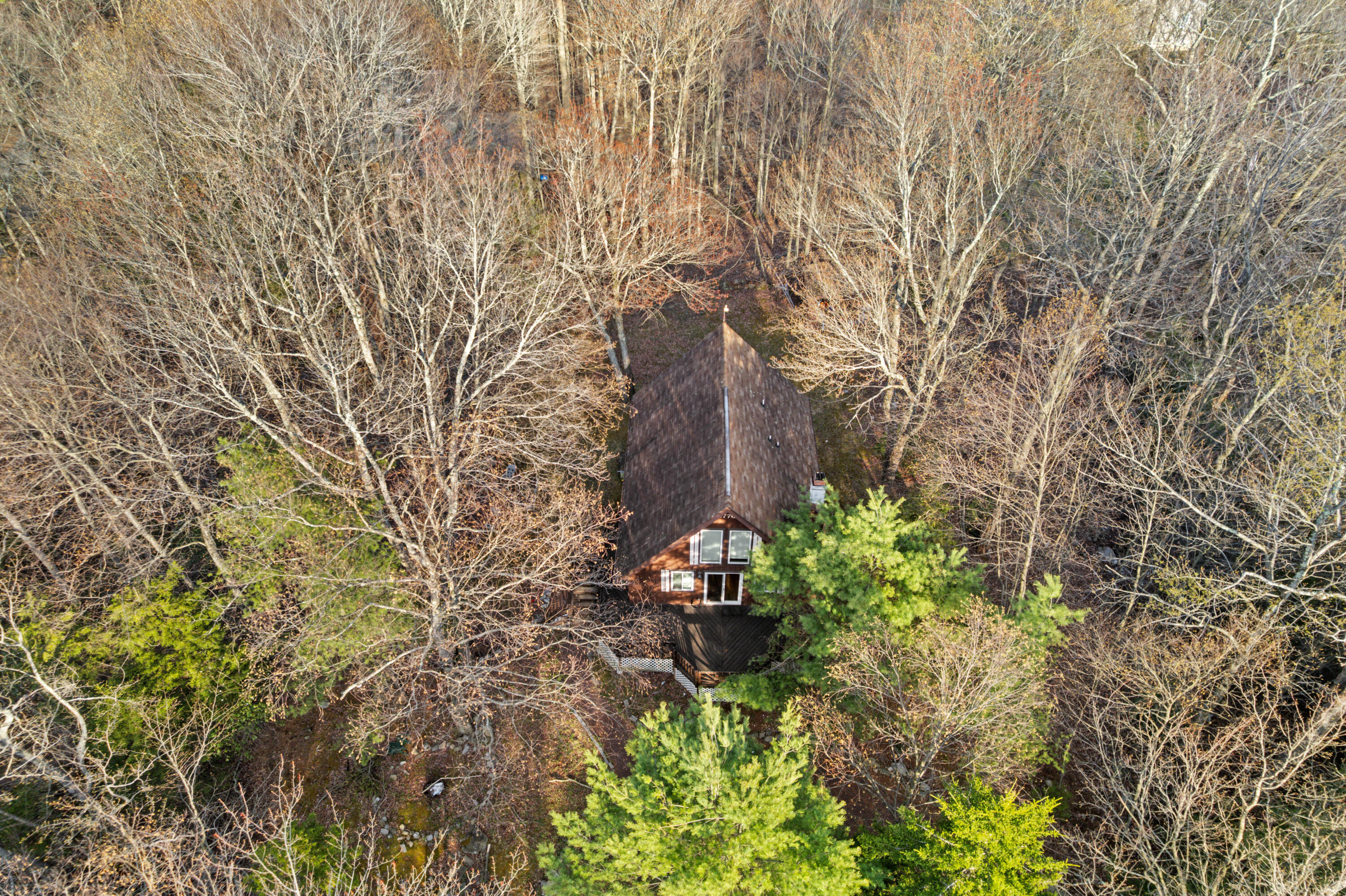 521 Cayuga Drive, Tobyhanna, Pennsylvania image 5