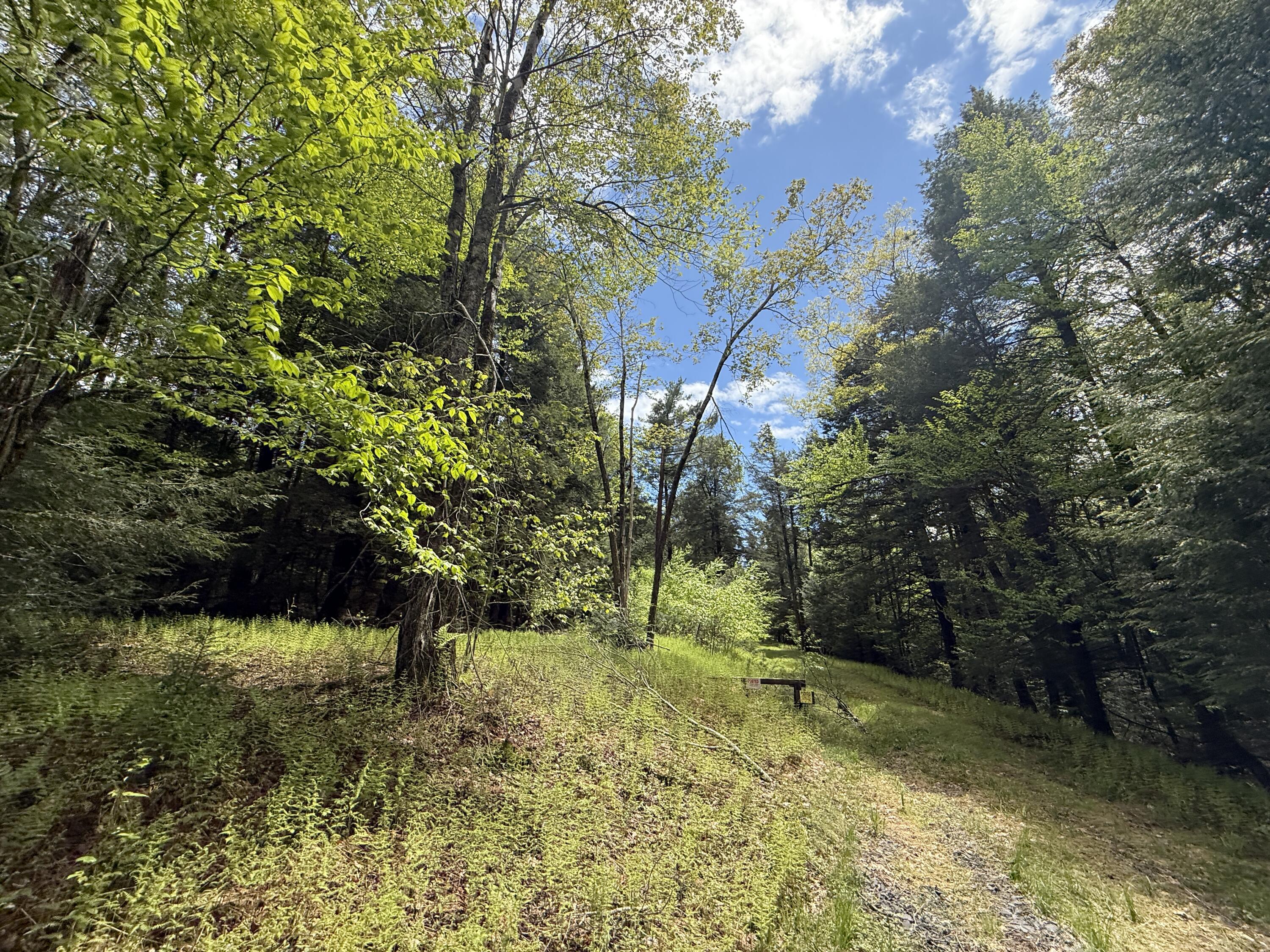 28 Old White Haven Lane, White Haven, Pennsylvania image 30