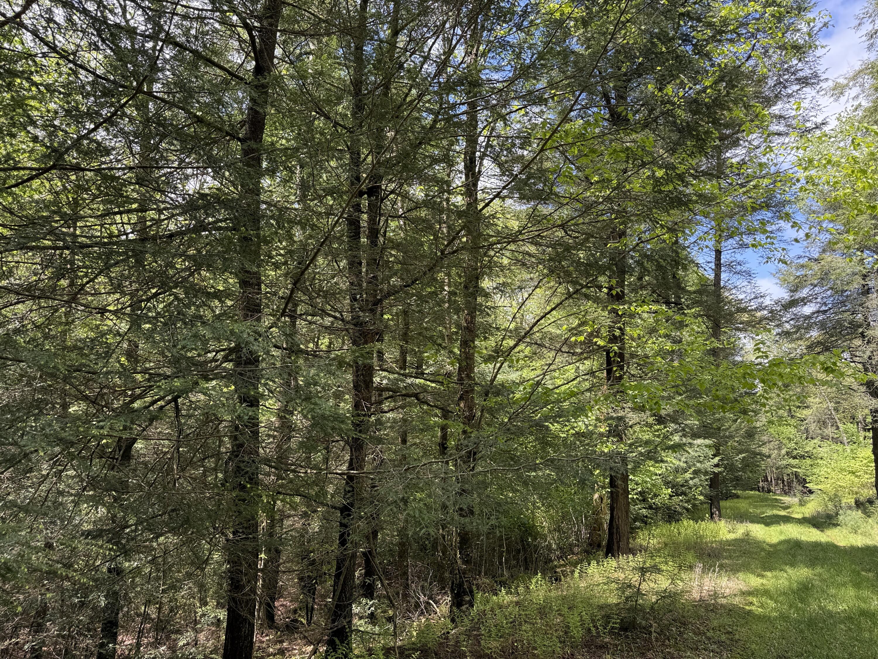 28 Old White Haven Lane, White Haven, Pennsylvania image 45