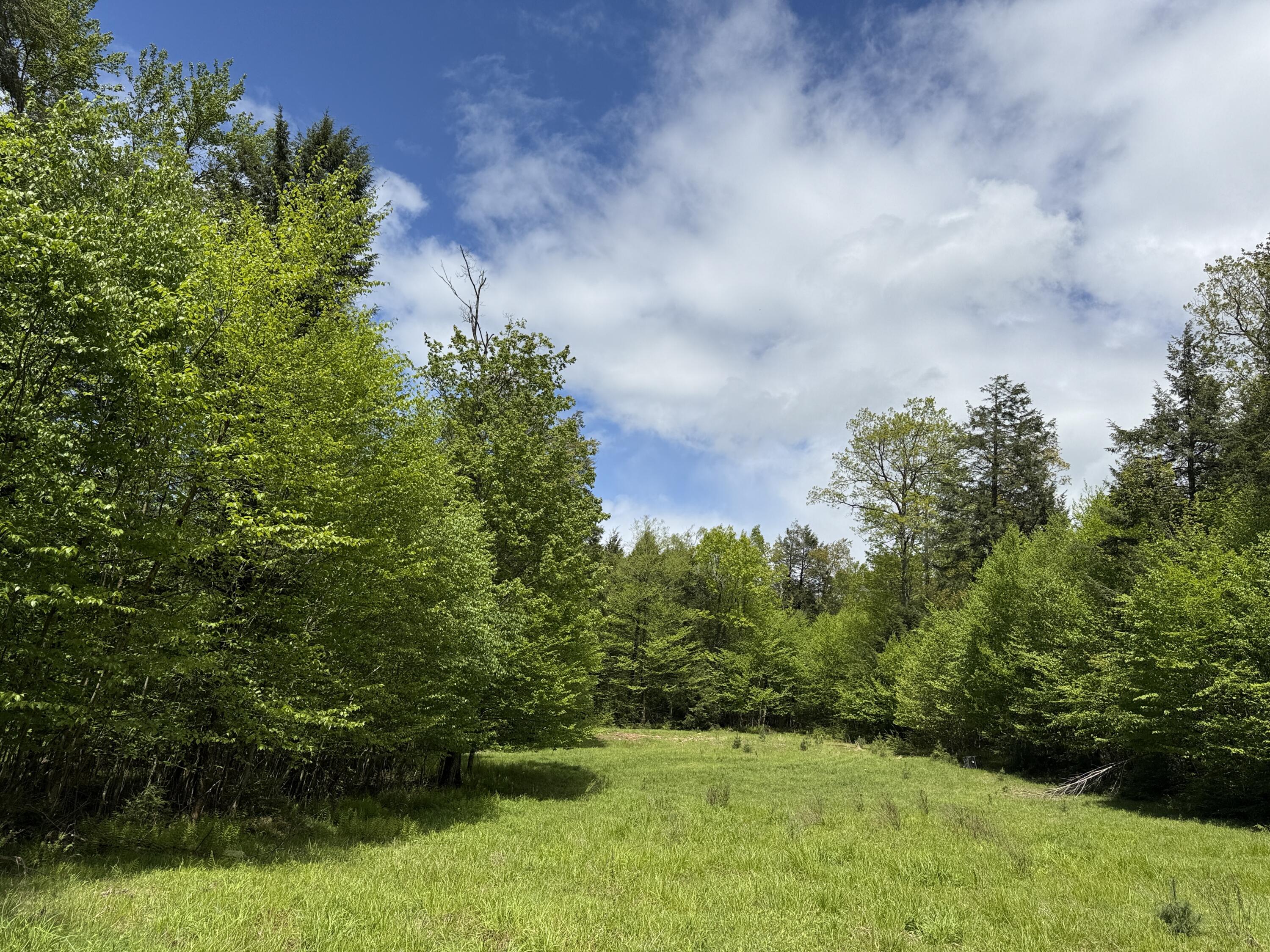 28 Old White Haven Lane, White Haven, Pennsylvania image 43