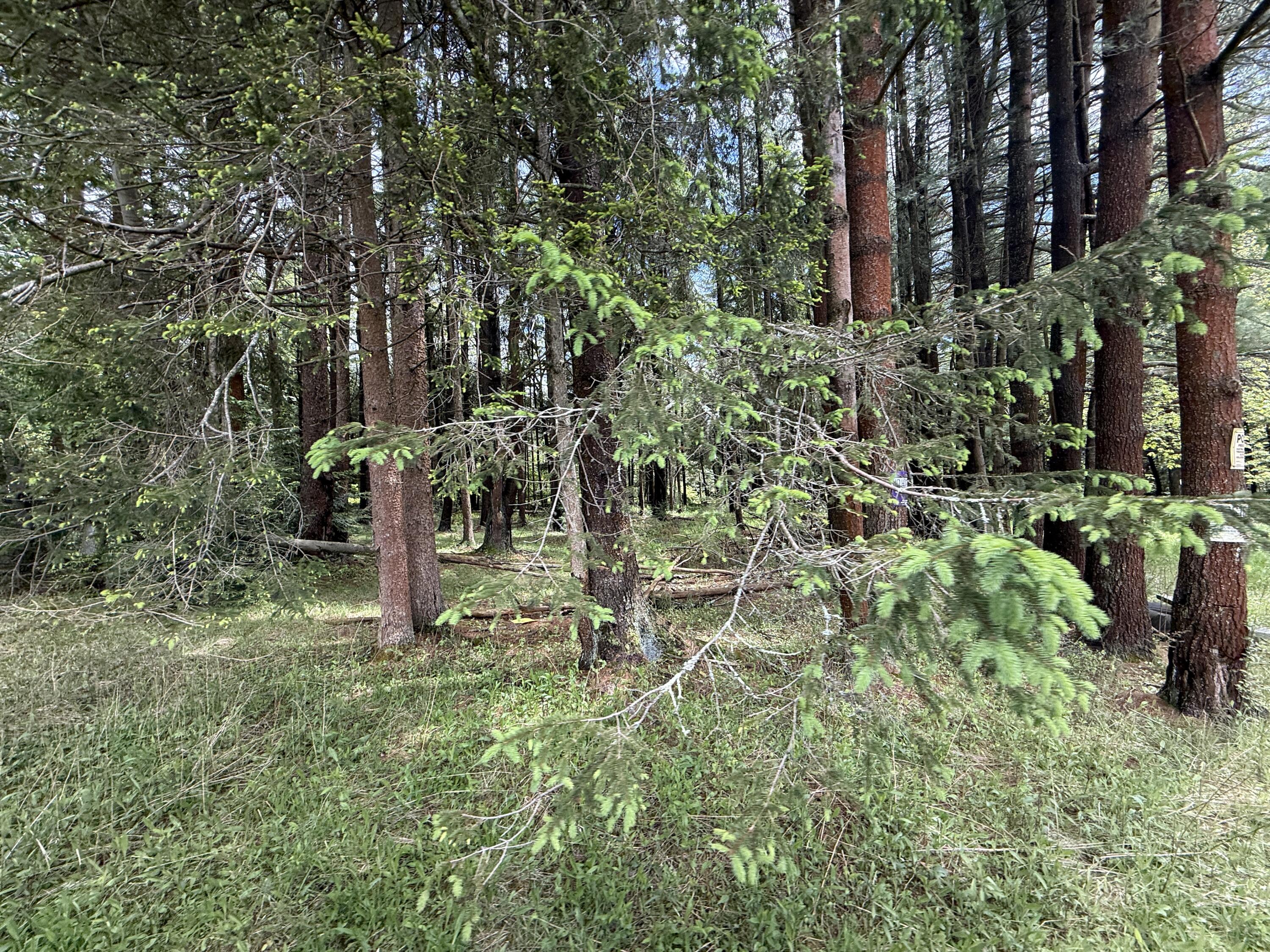28 Old White Haven Lane, White Haven, Pennsylvania image 13