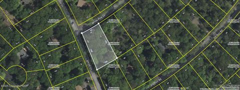 819 White Pine Drive Pocono Lake PA 18347