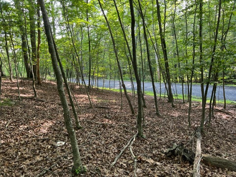Vacant Land For Sale - Yukon Drive<br/> East Stroudsburg, PA 18302