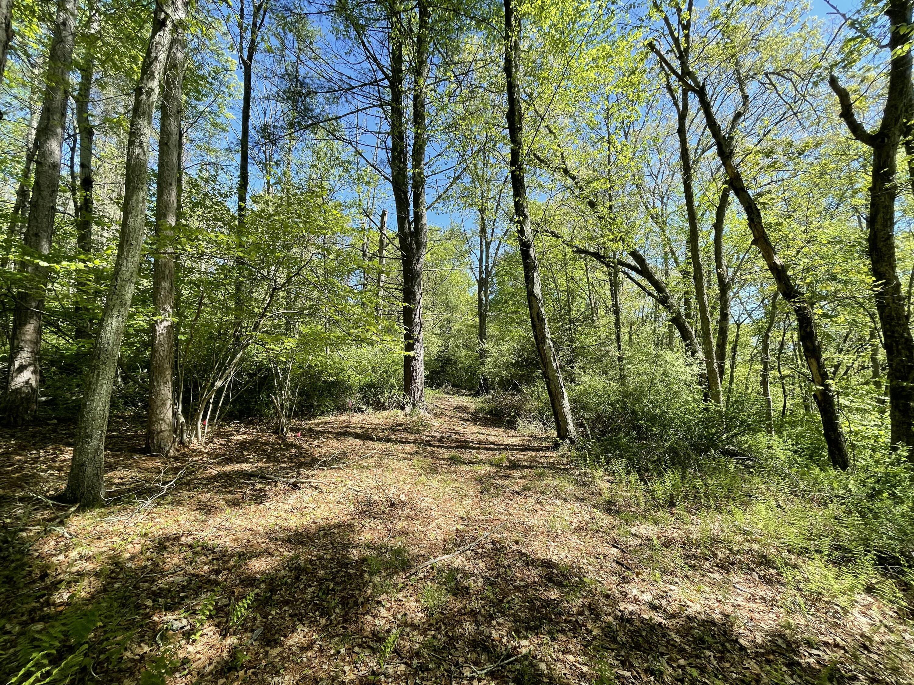 2626 Route 390, Canadensis, Pennsylvania image 8