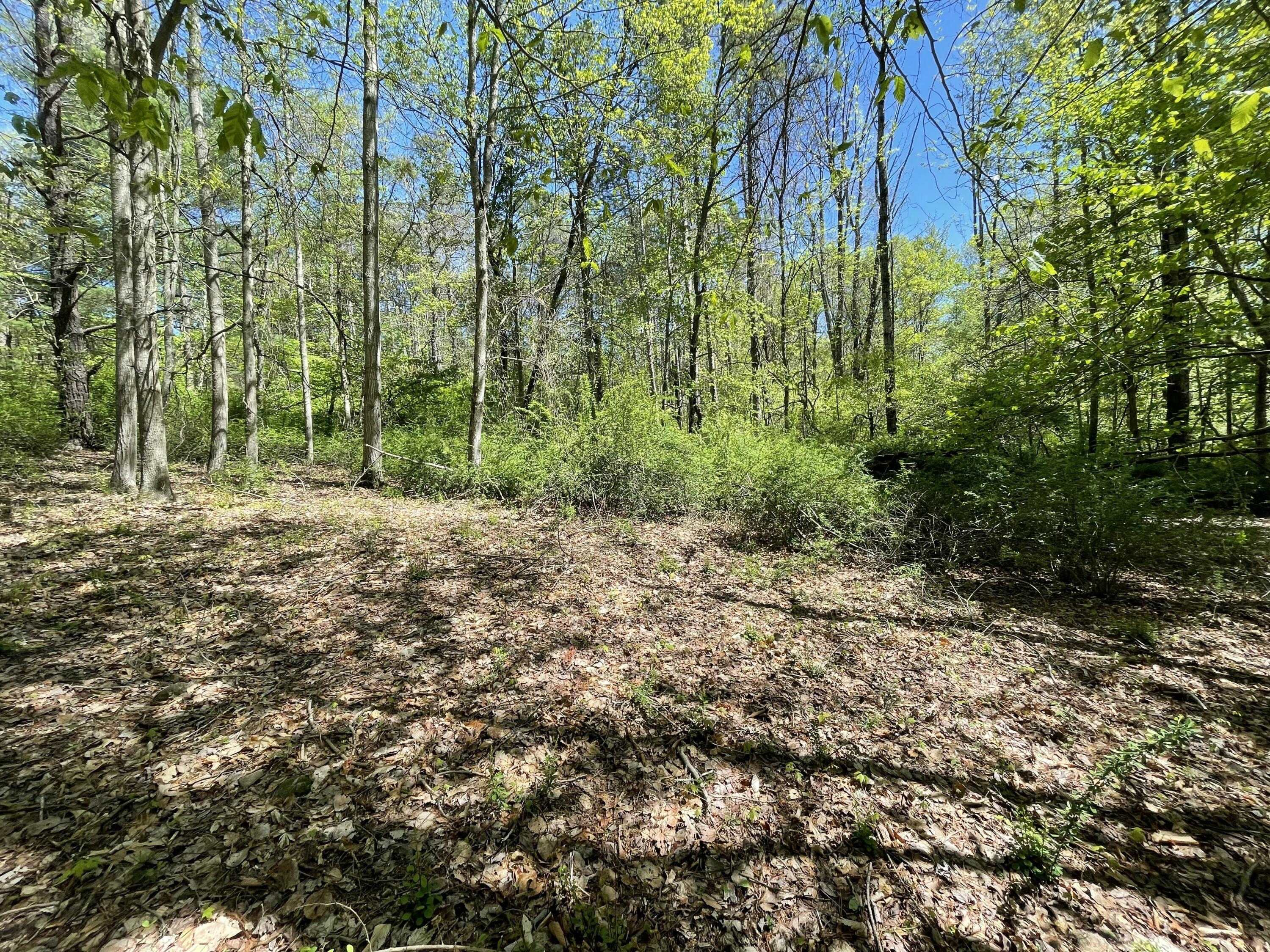 2626 Route 390, Canadensis, Pennsylvania image 4