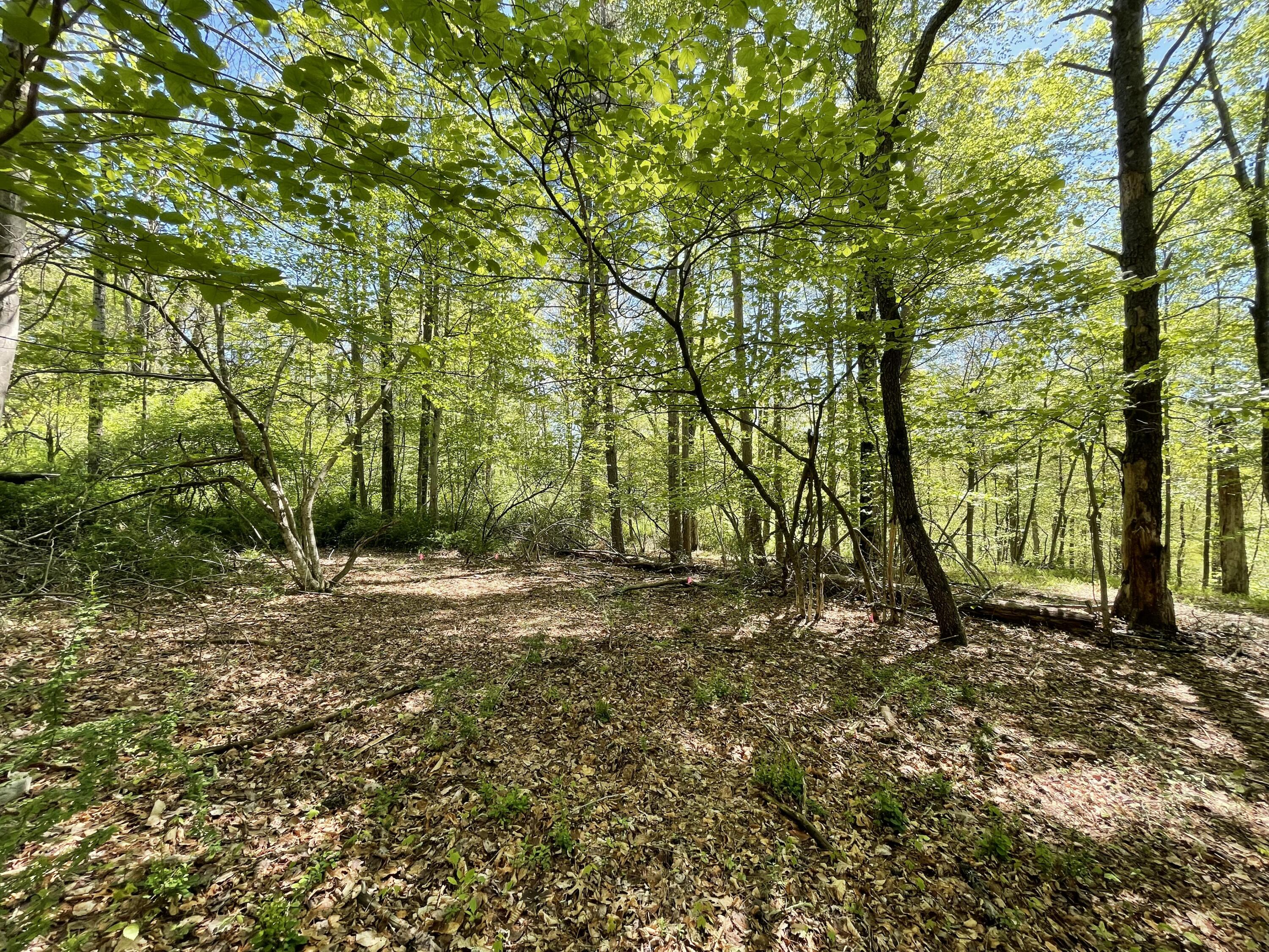 2626 Route 390, Canadensis, Pennsylvania image 6