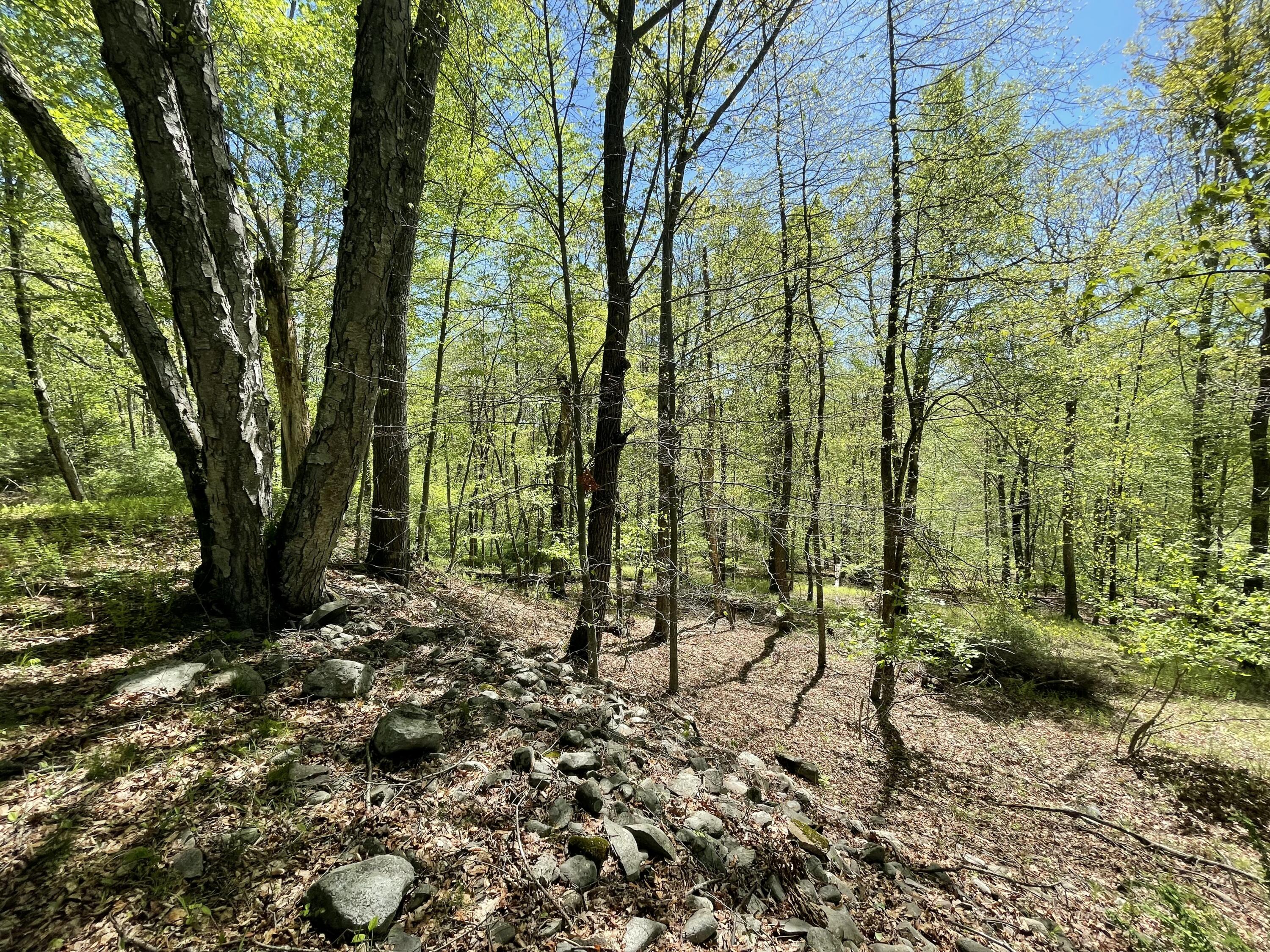 2626 Route 390, Canadensis, Pennsylvania image 7