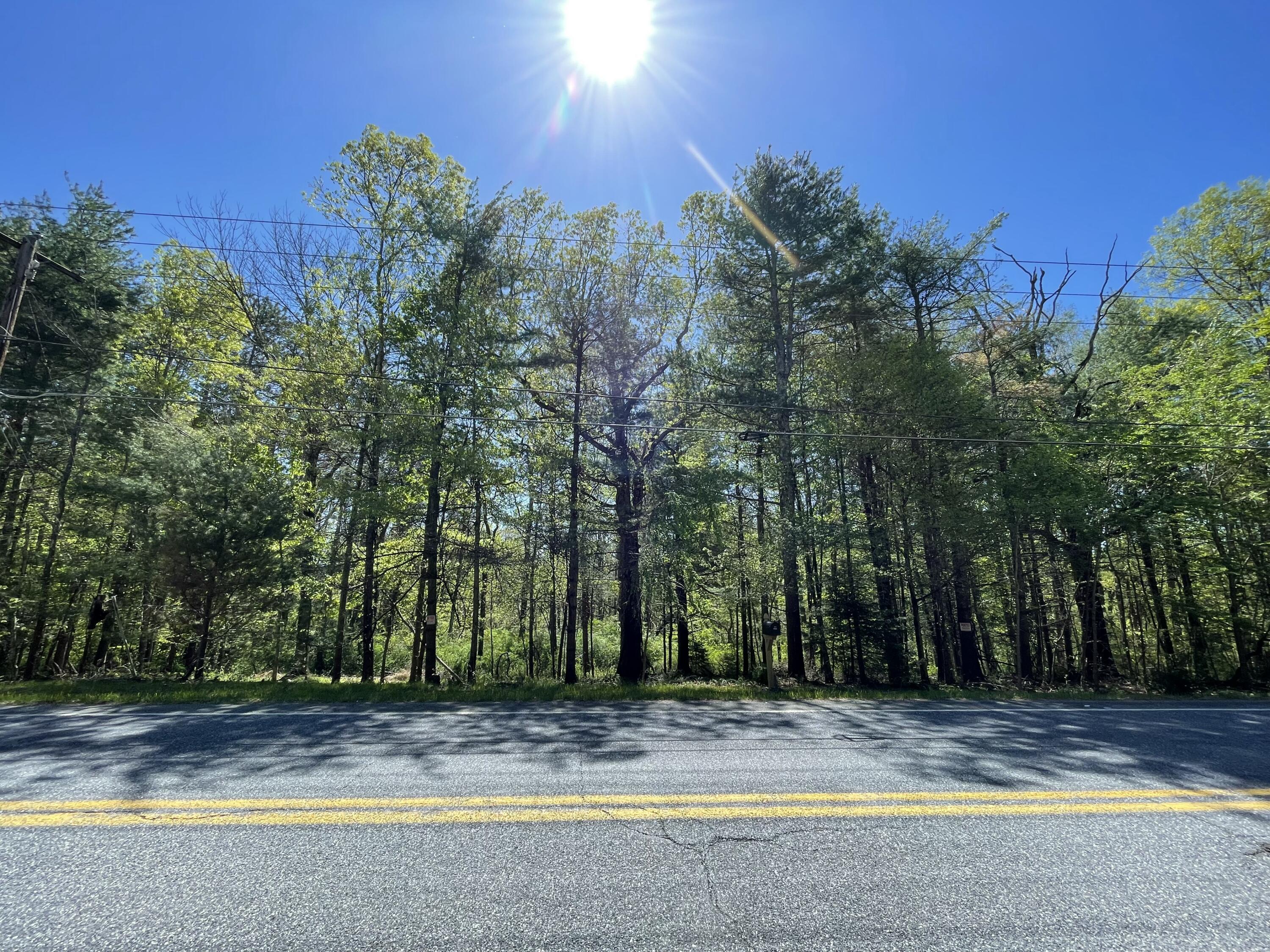 2626 Route 390, Canadensis, Pennsylvania image 1