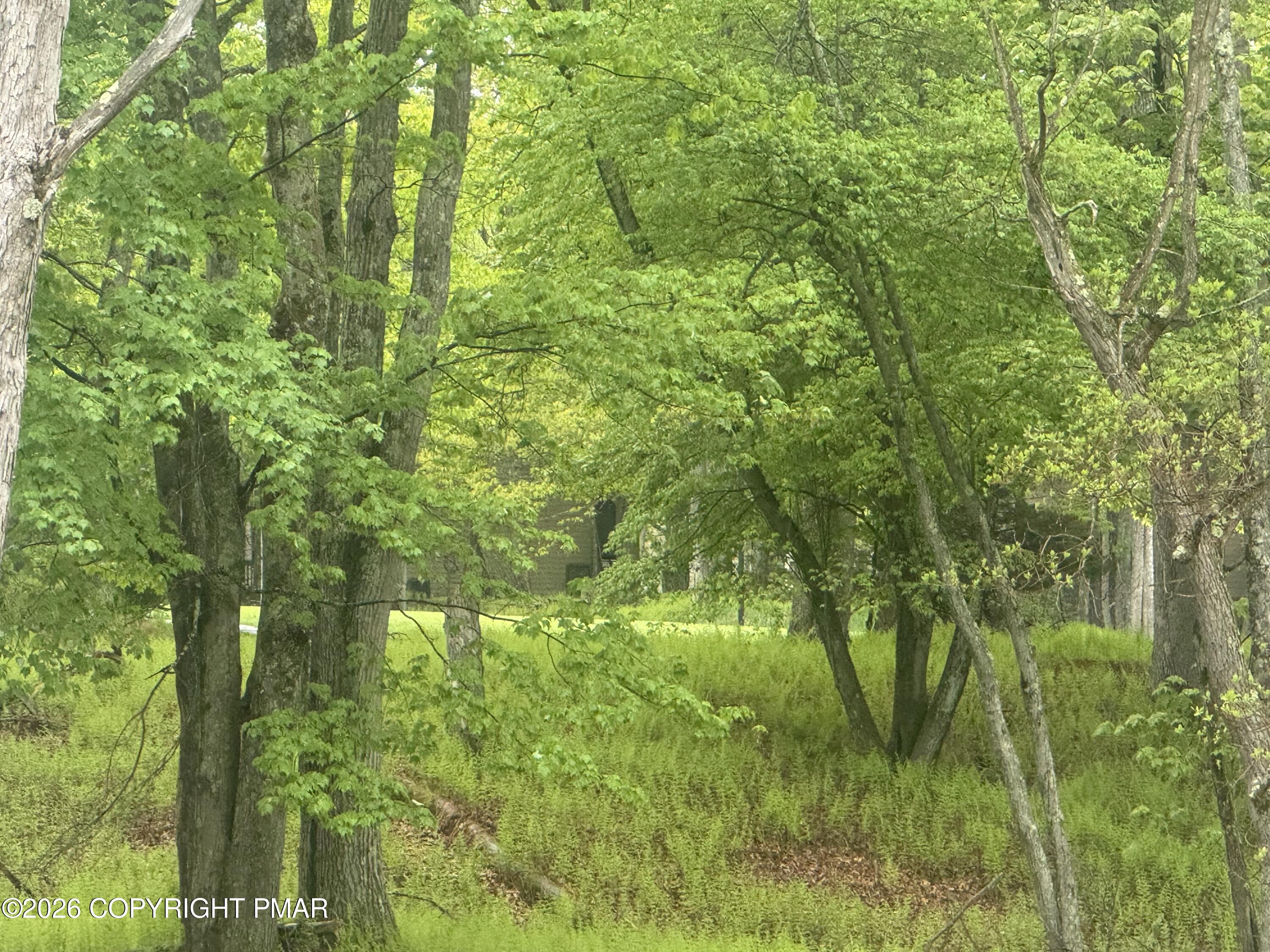 Wolf Hollow Road