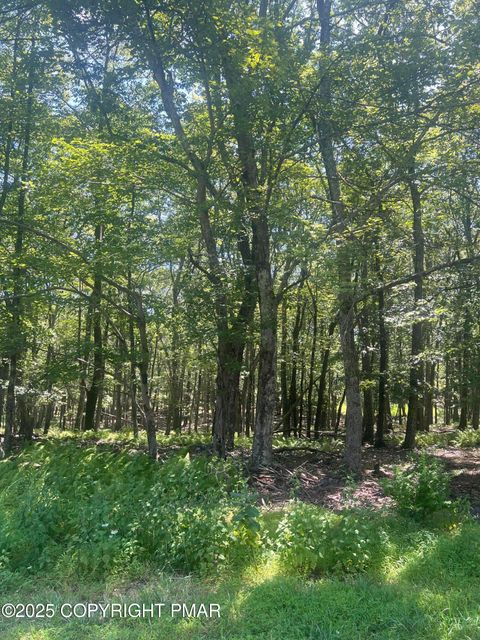 Vacant Land For Sale - 315 Doe Loop<br/> Bushkill, PA 18324